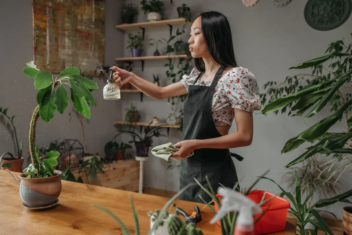 Biophilic Design Explained: How to Bring Nature Indoors for Better Home Decor